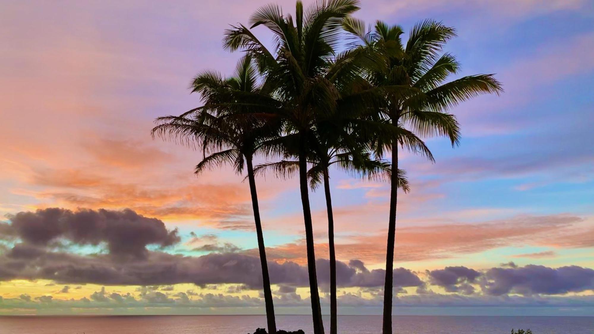 Tropical Zen Bungalow Pahoa 外观 照片