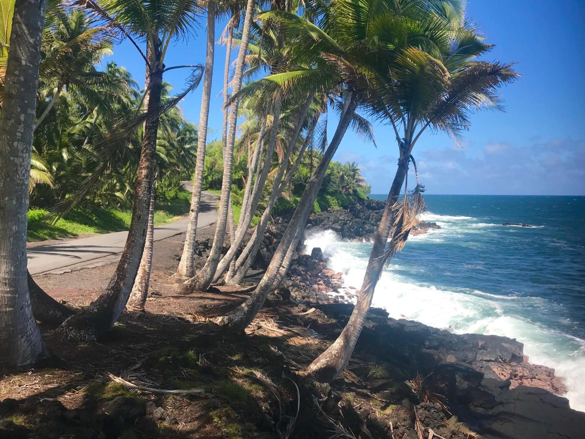 Tropical Zen Bungalow Pahoa 外观 照片